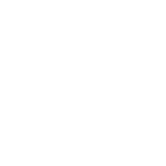 Walltet Icon